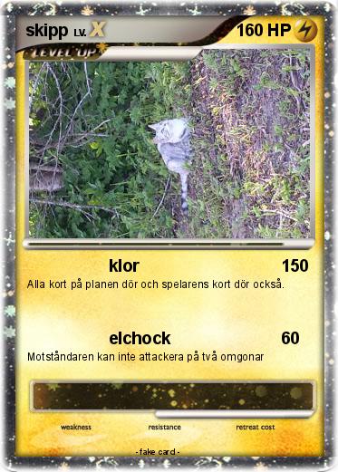 Pokemon skipp