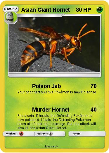 Pokemon Asian Giant Hornet