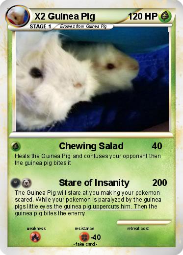 Pokemon X2 Guinea Pig