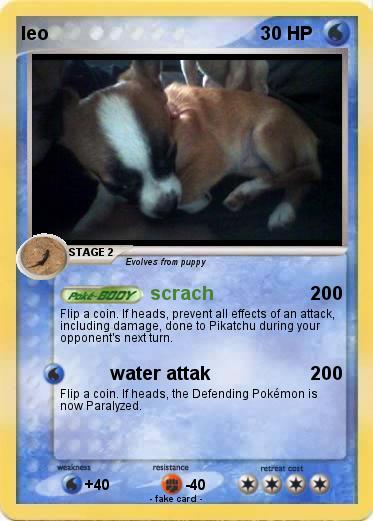 Pokemon leo