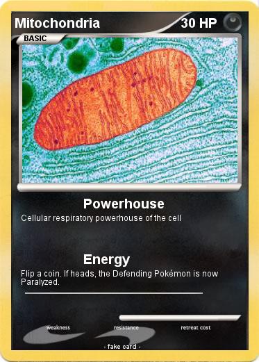 Pokemon Mitochondria