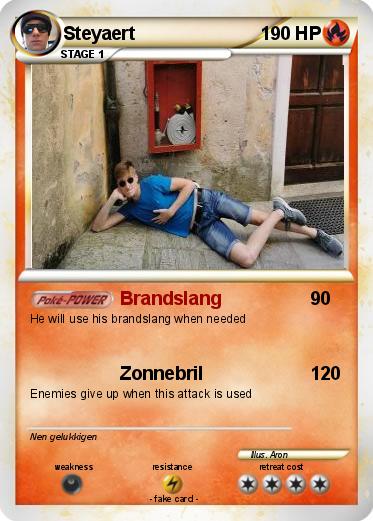 Pokemon Steyaert