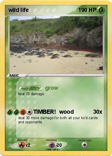 Pokemon wild life