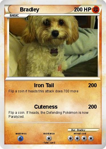 Pokemon Bradley