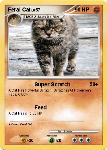 Pokemon Feral Cat
