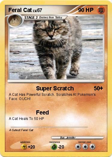 Pokemon Feral Cat Pokemon Feral Cat
