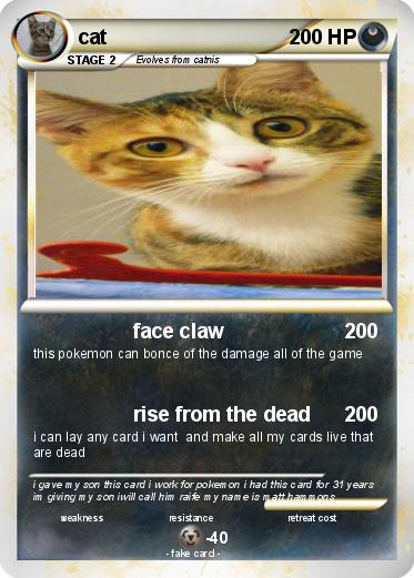 Pokemon cat
