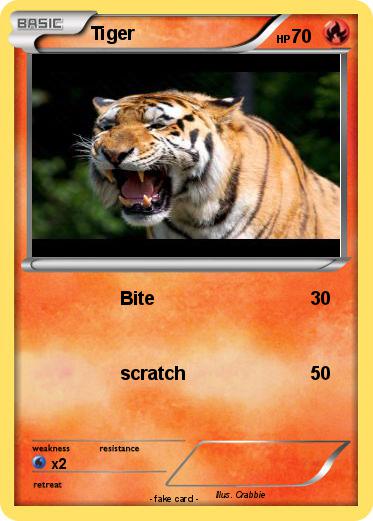 Pokemon Tiger