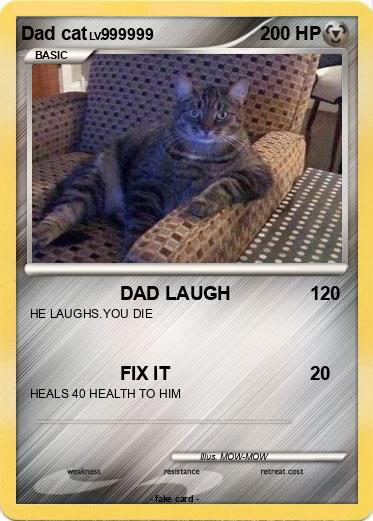Pokemon Dad cat