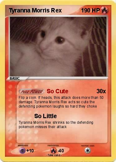 Pokemon Tyranna Morris Rex