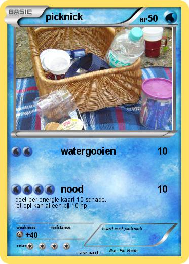 Pokemon picknick
