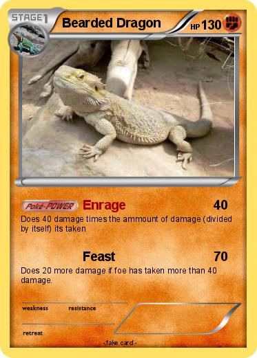 Pokemon Bearded Dragon
