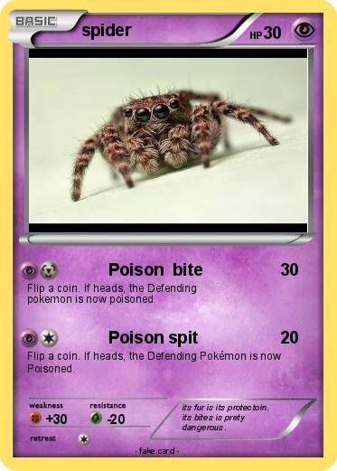 Pokemon spider