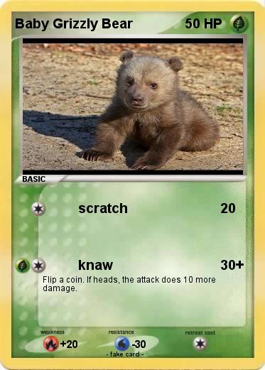 Pokemon Baby Grizzly Bear