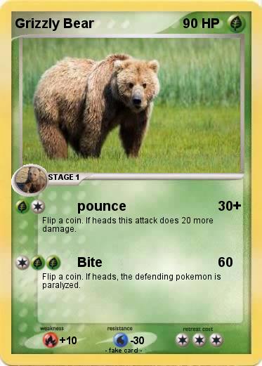Pokemon Grizzly Bear