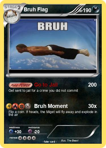 Pokemon Bruh Flag