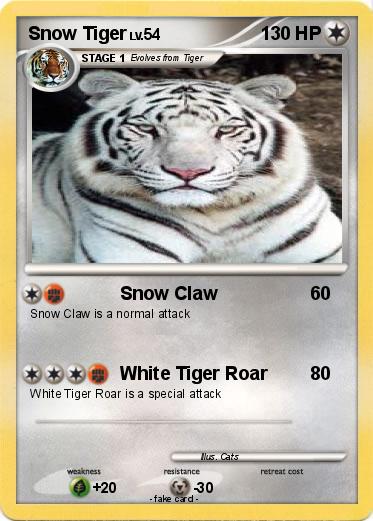 Pokemon Snow Tiger