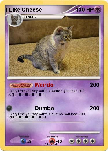 Pokemon I Like Cheese