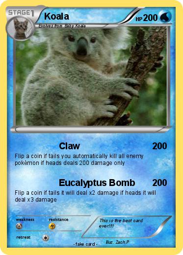 Pokemon Koala