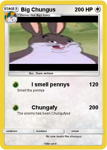 Pokemon Big Chungus