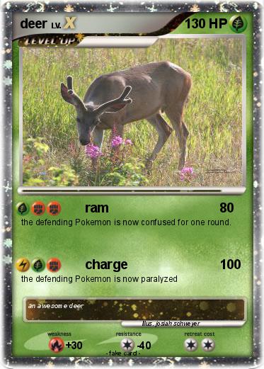 Pokemon deer
