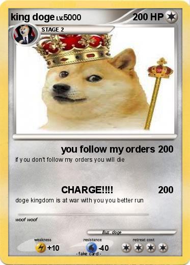 Pokemon king doge