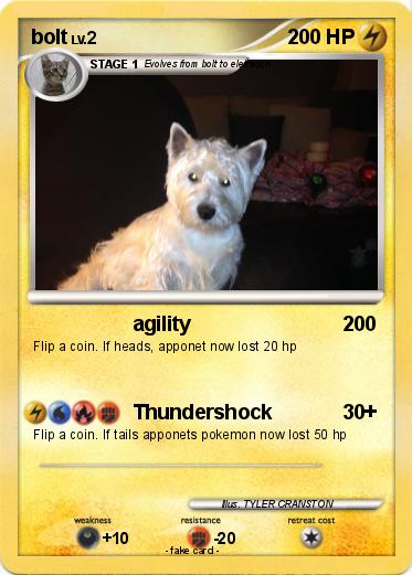 Pokemon bolt