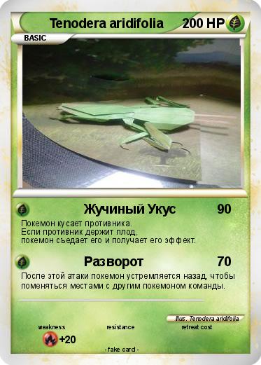 Pokemon Tenodera aridifolia