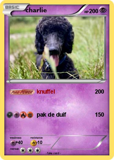 Pokemon charlie