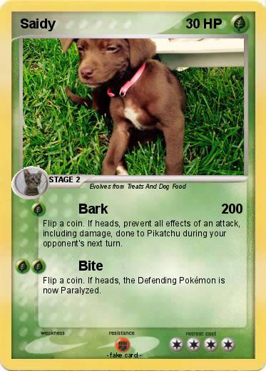 Pokemon Saidy