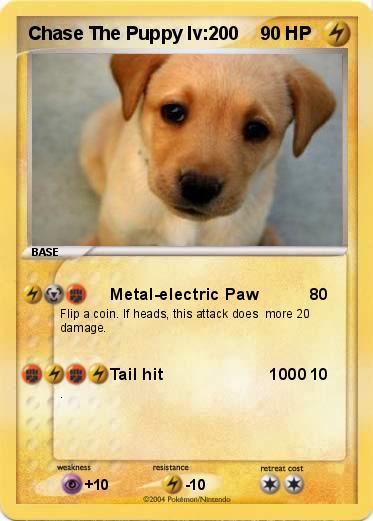 Pokemon Chase The Puppy lv:200