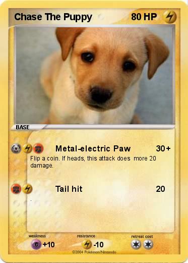 Pokemon Chase The Puppy