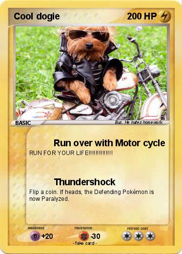 Pokemon Cool dogie