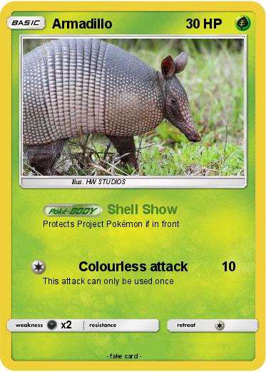 Pokemon Armadillo