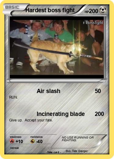 Pokemon Hardest boss fight