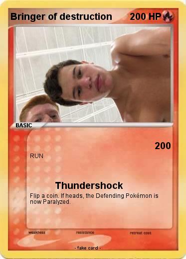 Pokemon Bringer of destruction