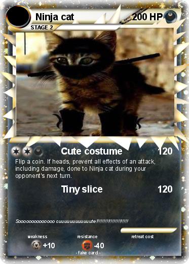 Pokemon Ninja cat
