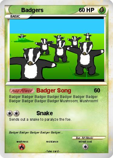 Pokemon Badgers