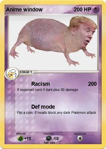 Pokemon Anime window