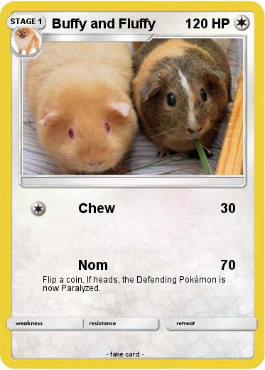 Pokemon Buffy and Fluffy