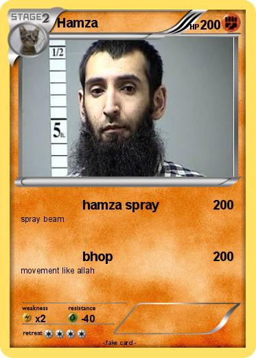 Pokemon Hamza