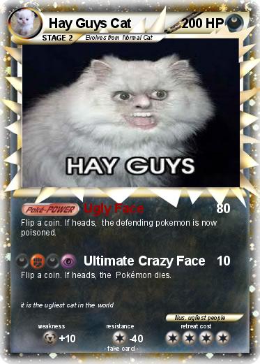 Pokemon Hay Guys Cat