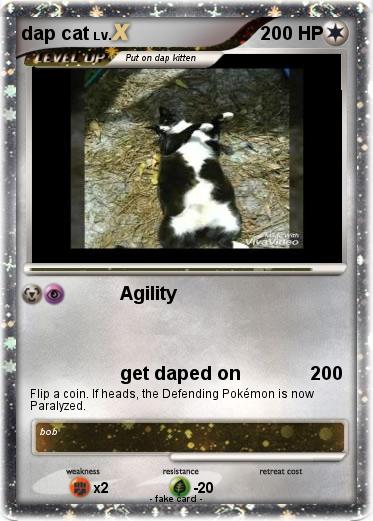 Pokemon dap cat