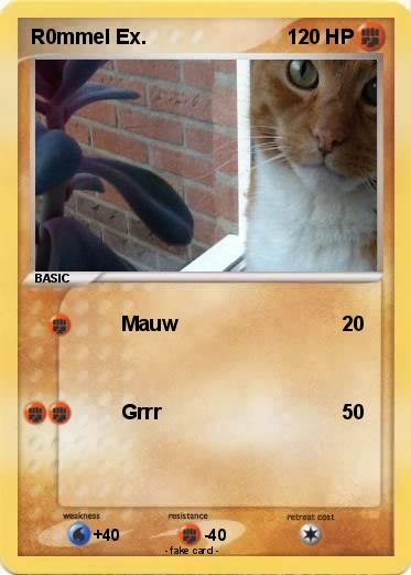 Pokemon R0mmel Ex.