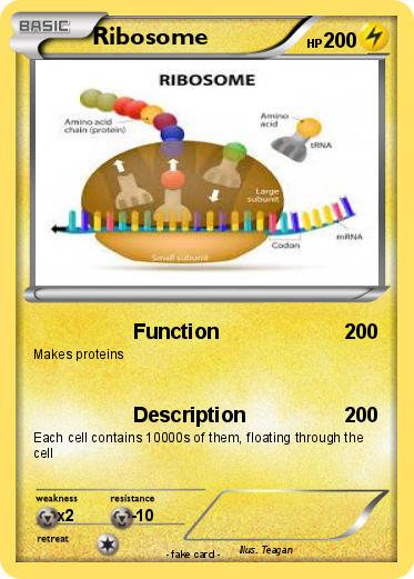 Pokemon Ribosome