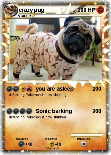 Pokemon crazy pug