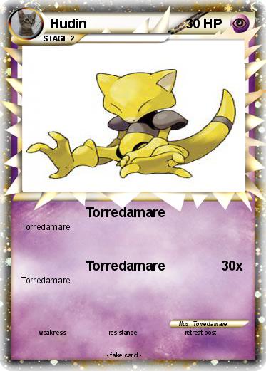 Pokemon Hudin