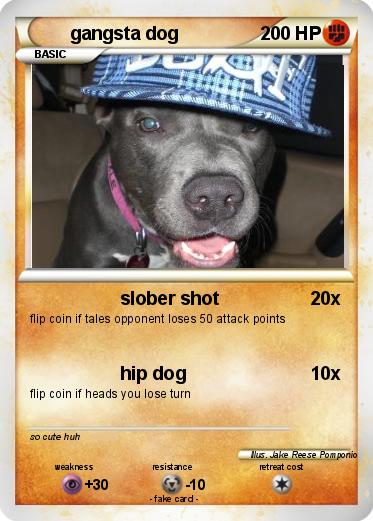 Pokemon gangsta dog
