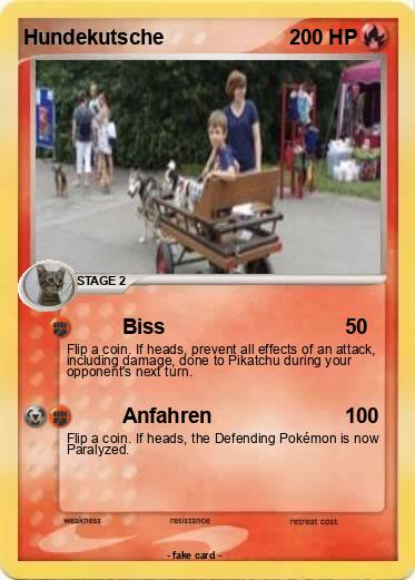 Pokemon Hundekutsche