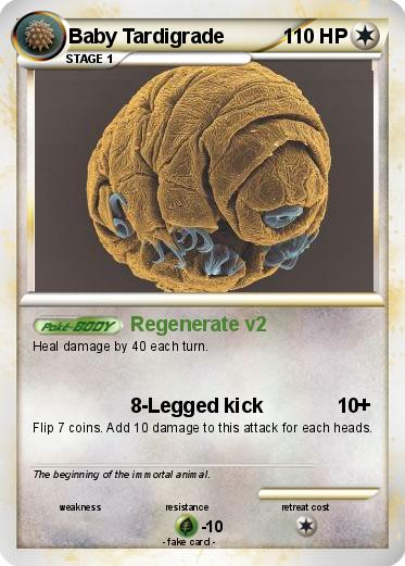 Pokemon Baby Tardigrade
